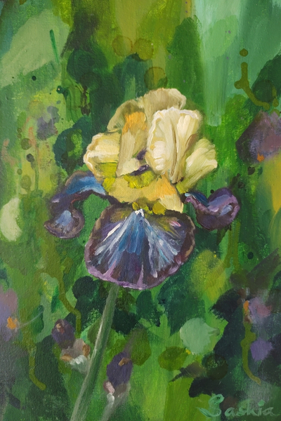 Original 30 x 40 cm painting of a purple and yellow iris flower with a soft green background.